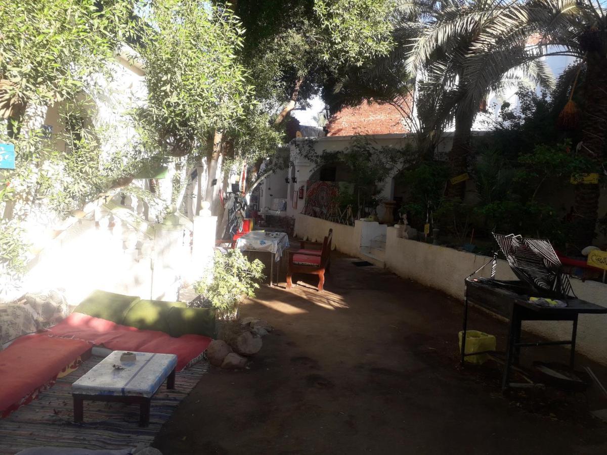 فندق Fighting Kangaroo Camp دهب المظهر الخارجي الصورة