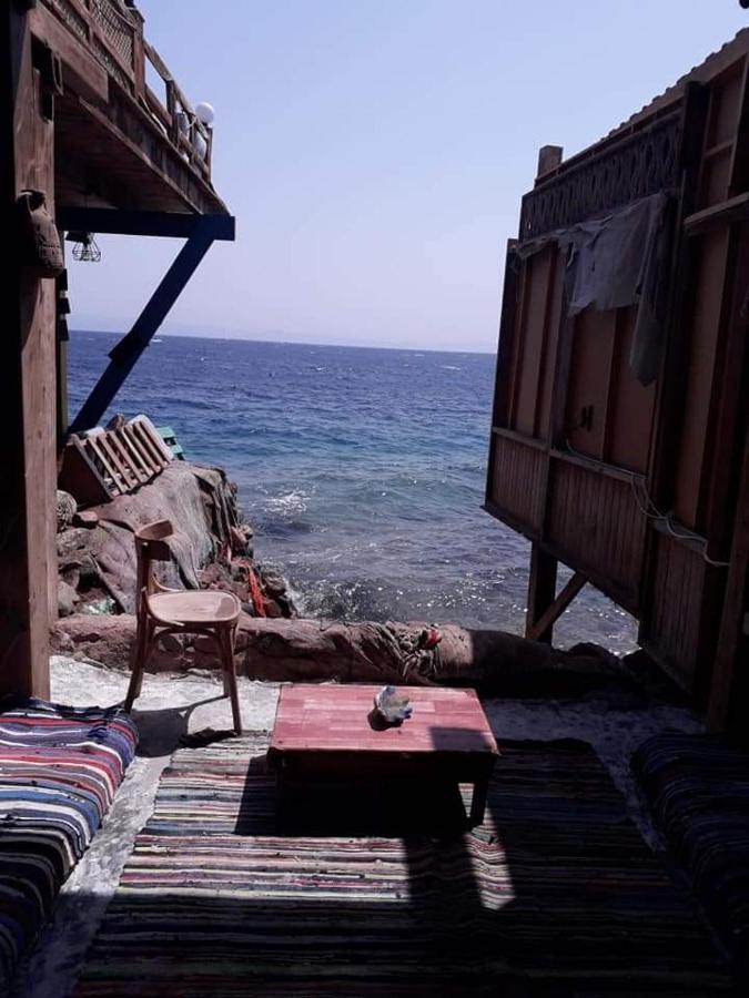 فندق Fighting Kangaroo Camp دهب المظهر الخارجي الصورة