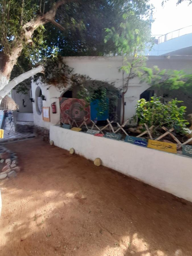 فندق Fighting Kangaroo Camp دهب المظهر الخارجي الصورة