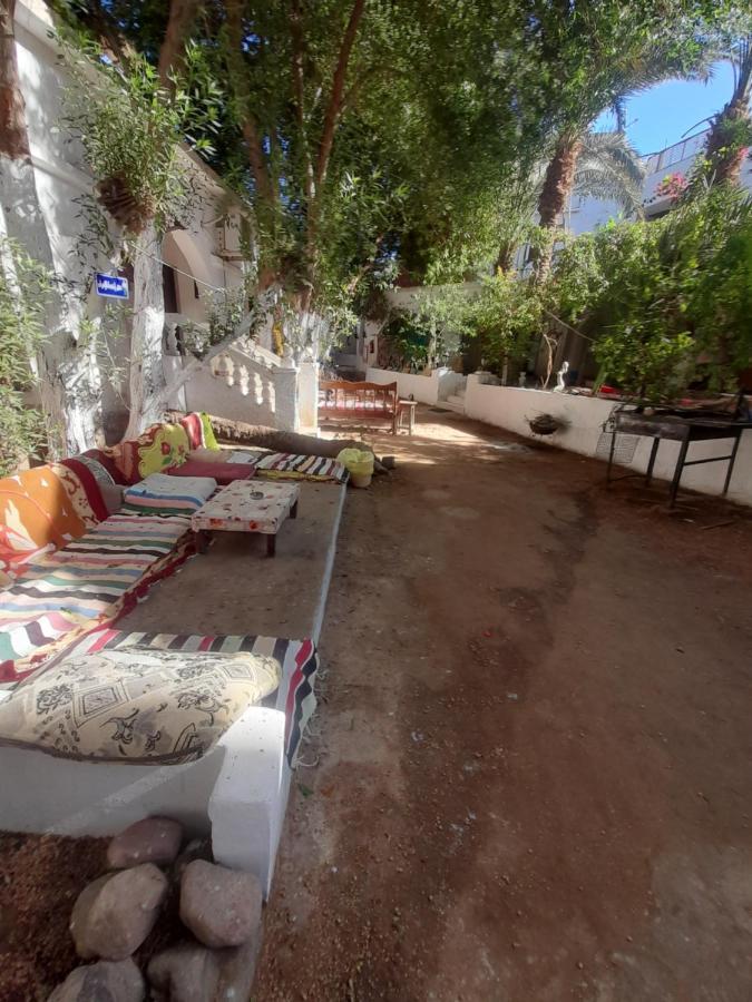 فندق Fighting Kangaroo Camp دهب المظهر الخارجي الصورة