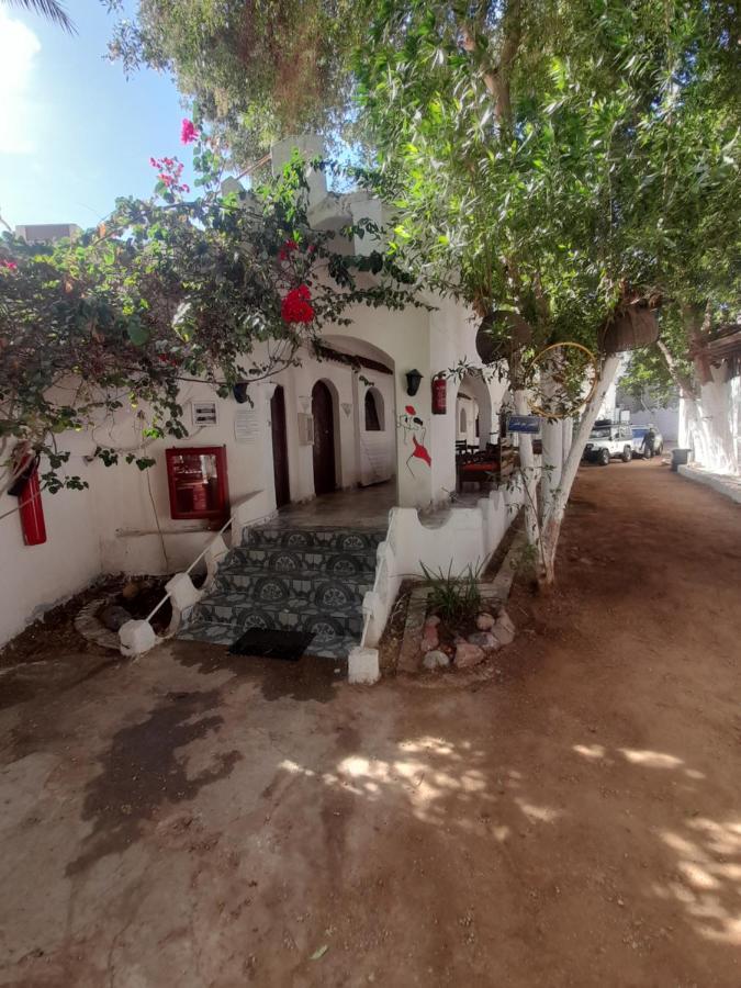 فندق Fighting Kangaroo Camp دهب المظهر الخارجي الصورة