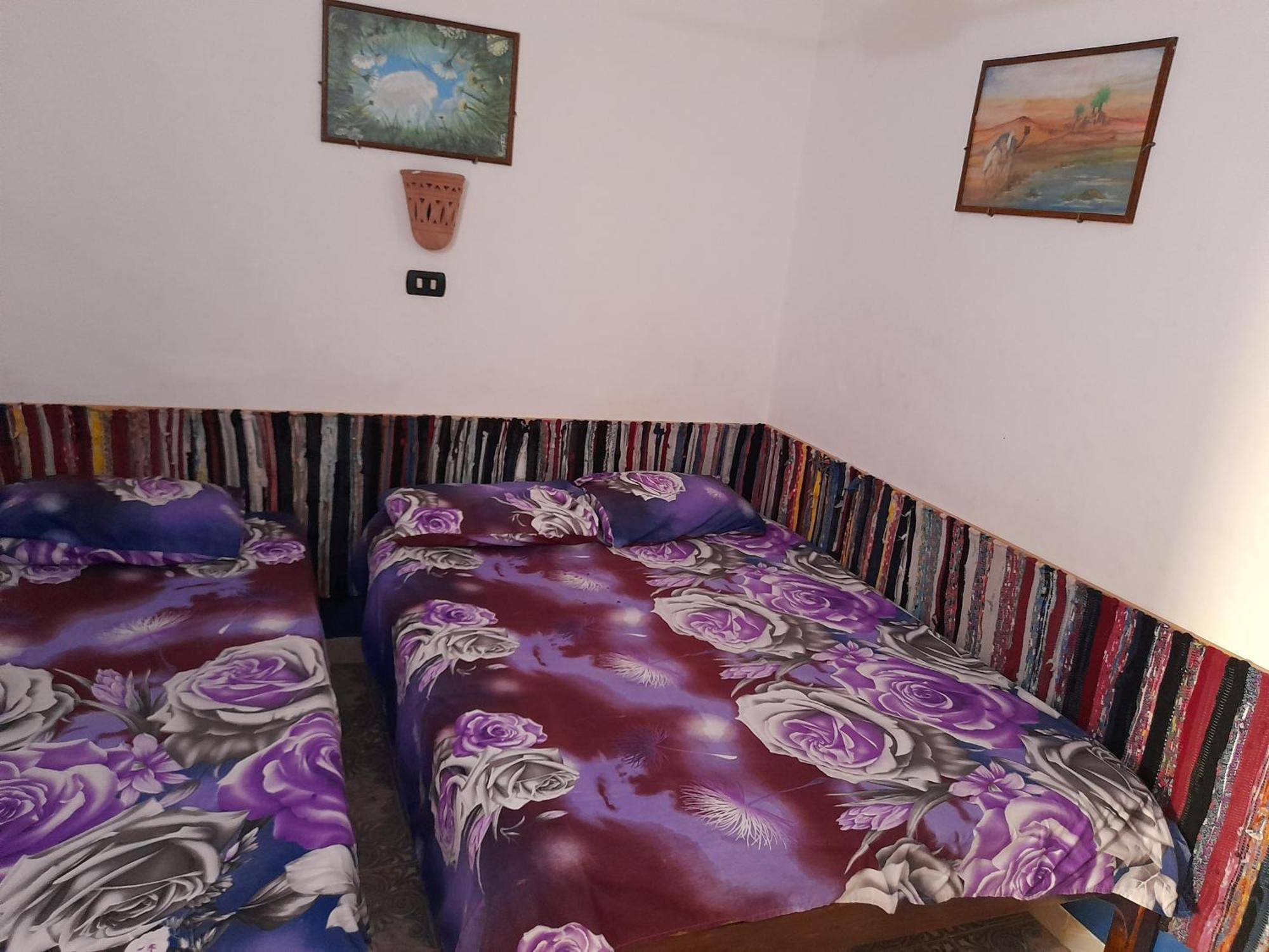 فندق Fighting Kangaroo Camp دهب المظهر الخارجي الصورة