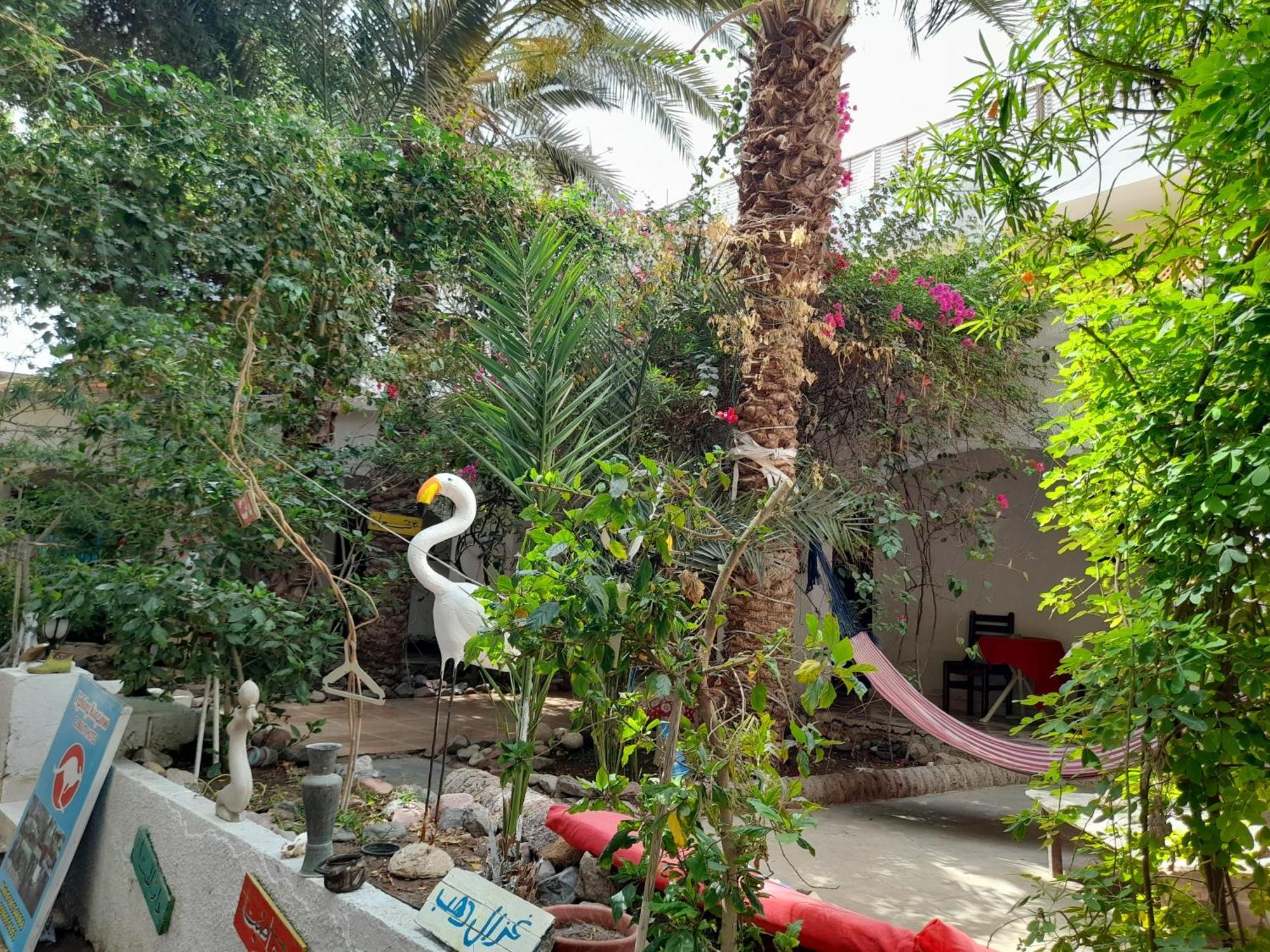 فندق Fighting Kangaroo Camp دهب المظهر الخارجي الصورة